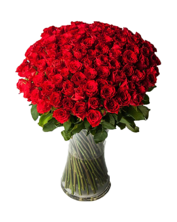 Pugét 100 Ks rudých růží - rozvoz, dárek
